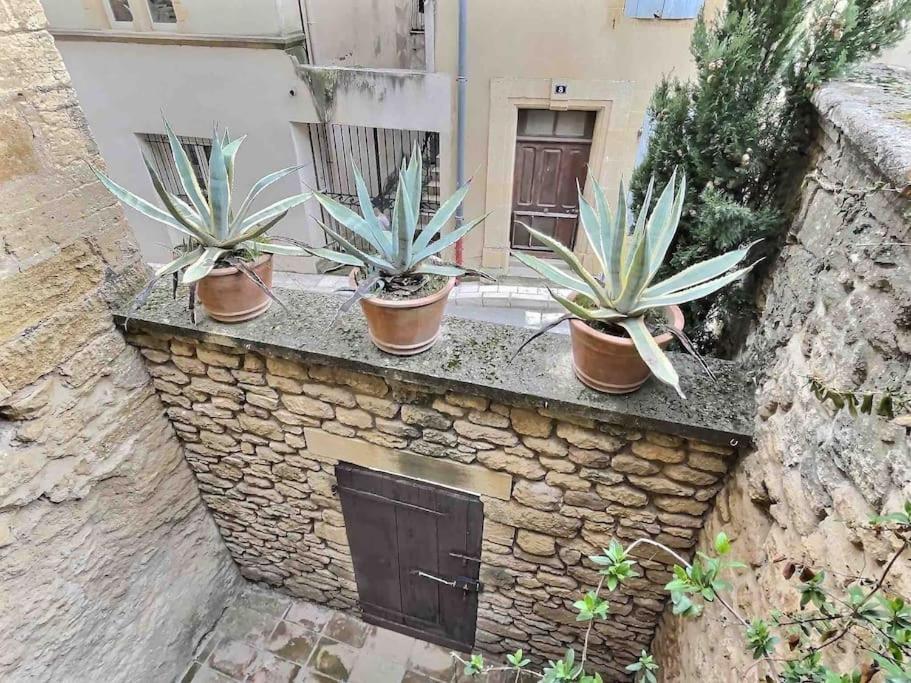 Chez Lydia - Loft Cosy, Depart Canoe A Pied, Proche Pont-Du-Gard Et Uzes Remoulins Dış mekan fotoğraf